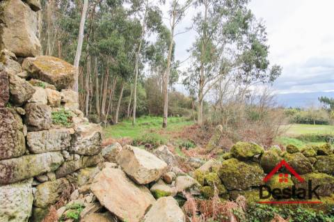 Quinta com moradia para reconstruir em Dianteiro,  Santa Cruz da Trapa.