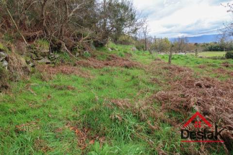 Quinta com moradia para reconstruir em Dianteiro,  Santa Cruz da Trapa.