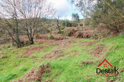 Quinta com moradia para reconstruir em Dianteiro,  Santa Cruz da Trapa.