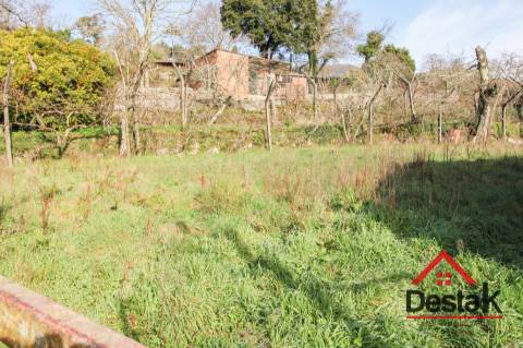 Terreno com viabilidade de construção para venda em Carvalhais, São Pedro do Sul.