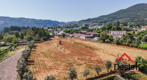 Quinta para Venda em Fataunços, Vouzela