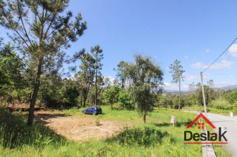 Terreno para venda em Ribafeita – Viseu