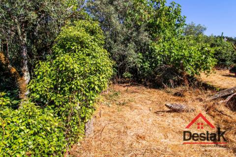 Moradias para restaurar em Oliveira de Frades