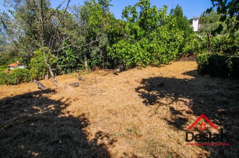 Moradias para restaurar em Oliveira de Frades