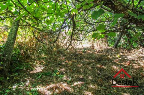 Moradias para restaurar em Oliveira de Frades