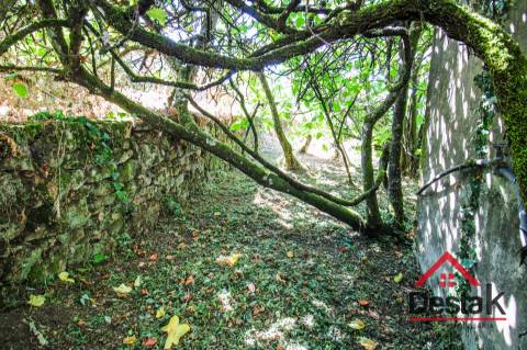 Moradias para restaurar em Oliveira de Frades