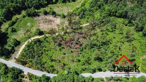 Terreno para venda em Pinho, São Pedro do Sul