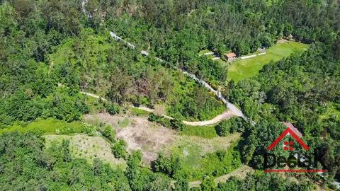 Terreno para venda em Pinho, São Pedro do Sul