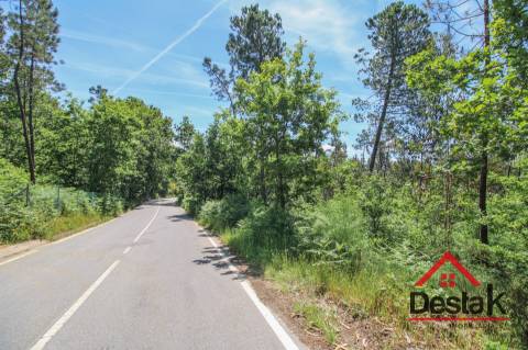 Terreno para venda em Pinho, São Pedro do Sul