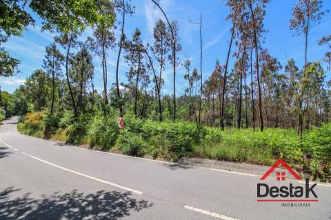 Terreno para venda em Pinho, São Pedro do Sul