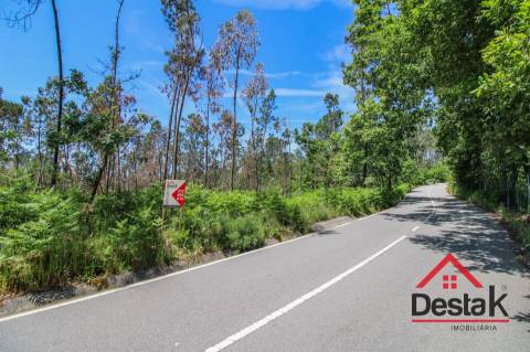 Terreno para venda em Pinho, São Pedro do Sul