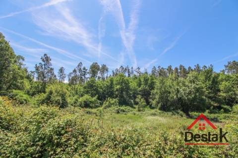 Terreno para venda em Pinho, São Pedro do Sul