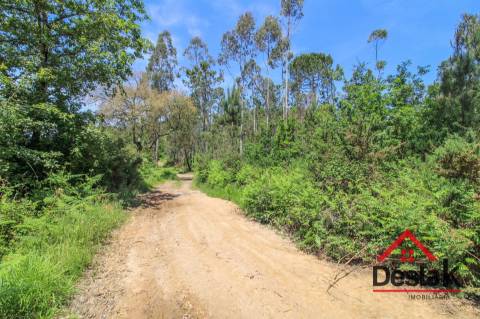 Terreno para venda em Pinho, São Pedro do Sul