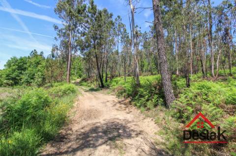 Terreno para venda em Pinho, São Pedro do Sul