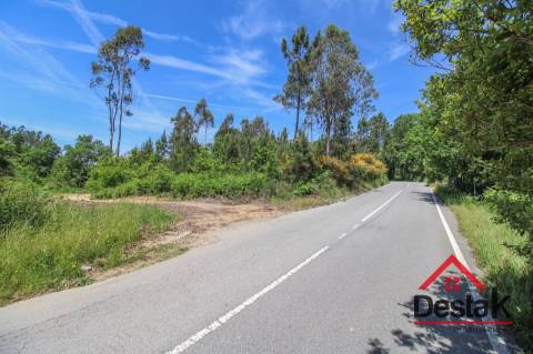 Terreno para venda em Pinho, São Pedro do Sul