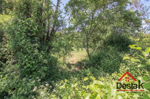 Terreno para venda em Pinho, São Pedro do Sul