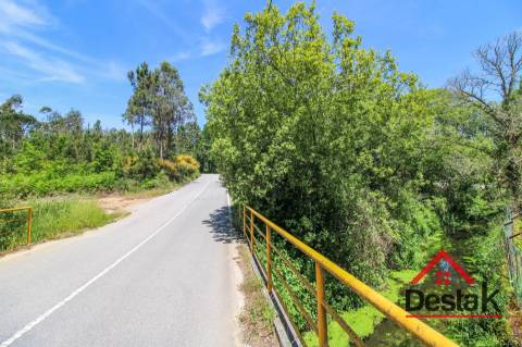 Terreno para venda em Pinho, São Pedro do Sul
