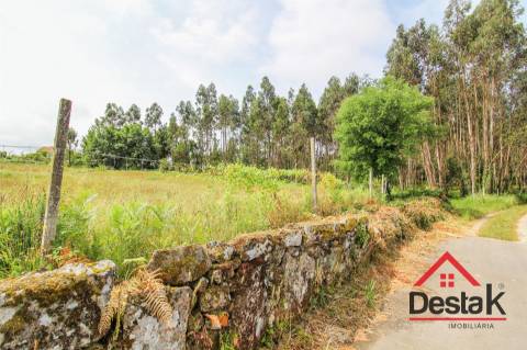 Terreno para construção em venda em Freixo, Serrazes