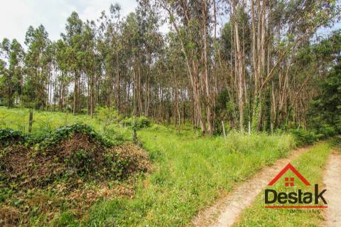 Terreno para construção em venda em Freixo, Serrazes