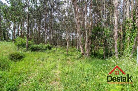 Terreno para construção em venda em Freixo, Serrazes