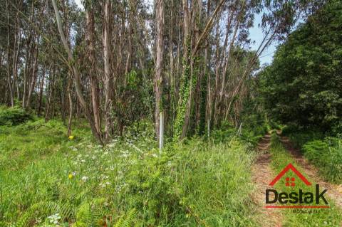 Terreno para construção em venda em Freixo, Serrazes