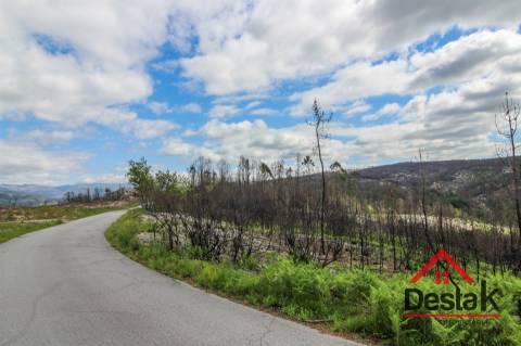 Terreno com Viabilidade Florestal