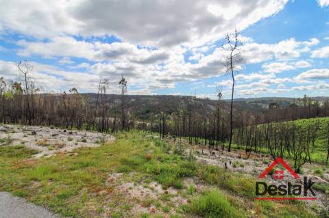 Terreno com Viabilidade Florestal