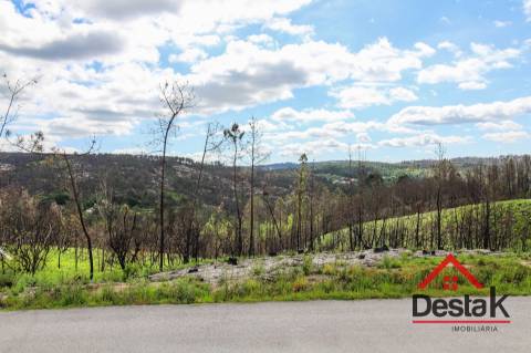 Terreno com Viabilidade Florestal