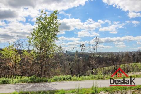 Terreno com Viabilidade Florestal