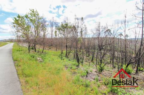 Terreno com Viabilidade Florestal