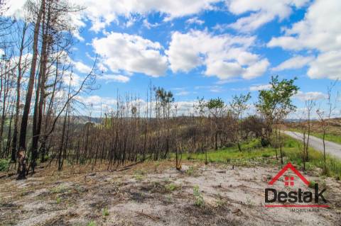 Terreno com Viabilidade Florestal