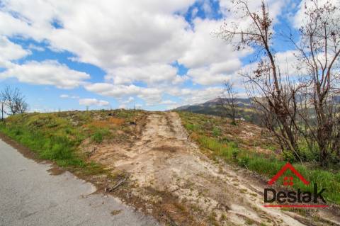 Terreno com Viabilidade Florestal