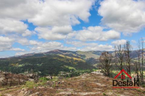 Terreno com Viabilidade Florestal