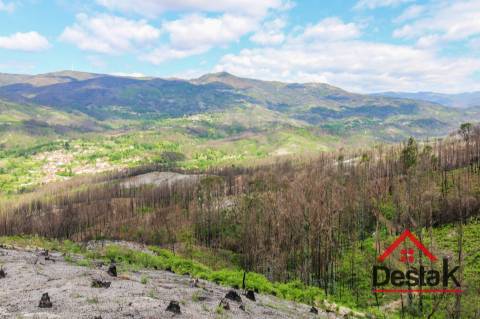 Terreno com Viabilidade Florestal