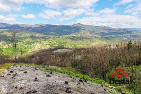 Terreno com Viabilidade Florestal