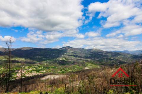 Terreno com Viabilidade Florestal