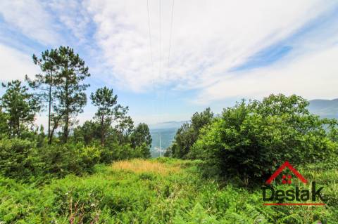 Terreno com Viabilidade Florestal