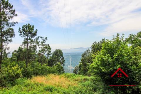 Terreno com Viabilidade Florestal