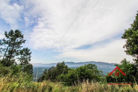 Terreno com Viabilidade Florestal