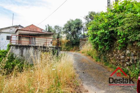 Terreno com Viabilidade Florestal