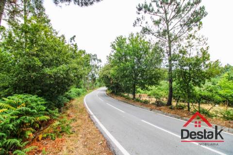 Terreno com Viabilidade Florestal