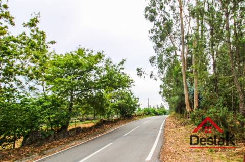 Terreno com Viabilidade Florestal