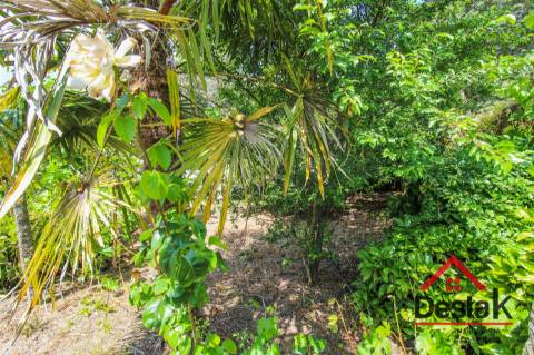 Moradia histórica para venda nas termas de São Pedro do Sul