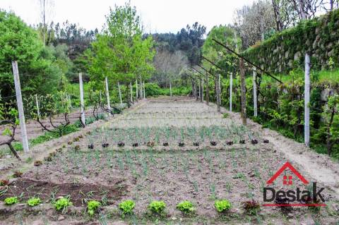 Moradia V2 em Sul, São Pedro do Sul, pronta a habitar, totalmente mobilada e equipada