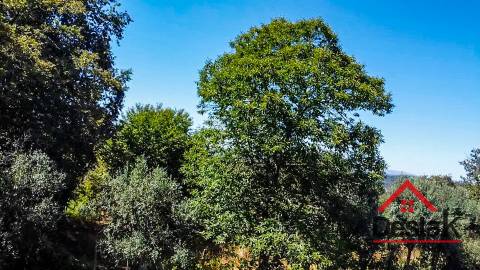 Terreno para venda em Vila Pouca, Vouzela