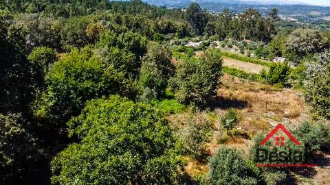 Terreno para venda em Vila Pouca, Vouzela