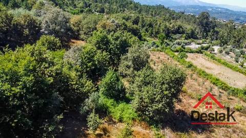 Terreno para venda em Vila Pouca, Vouzela