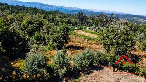 Terreno para venda em Vila Pouca, Vouzela