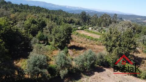 Terreno para venda em Vila Pouca, Vouzela