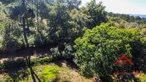 Terreno para venda em Vila Pouca, Vouzela
